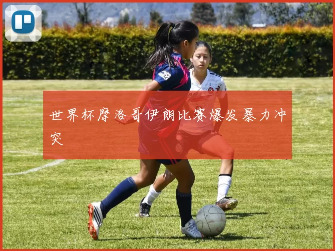 世界杯摩洛哥伊朗比赛爆发暴力冲突