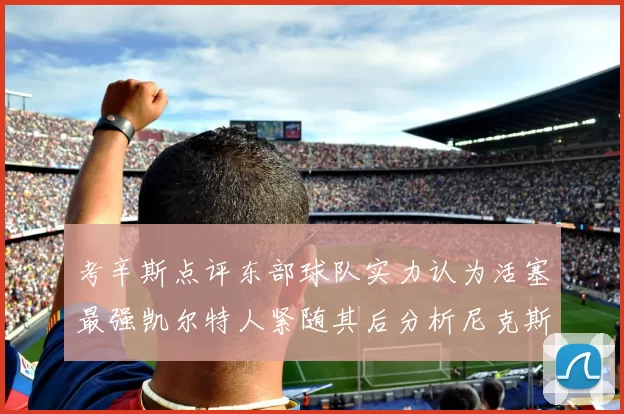 考辛斯点评东部球队实力认为活塞最强凯尔特人紧随其后分析尼克斯不足之处