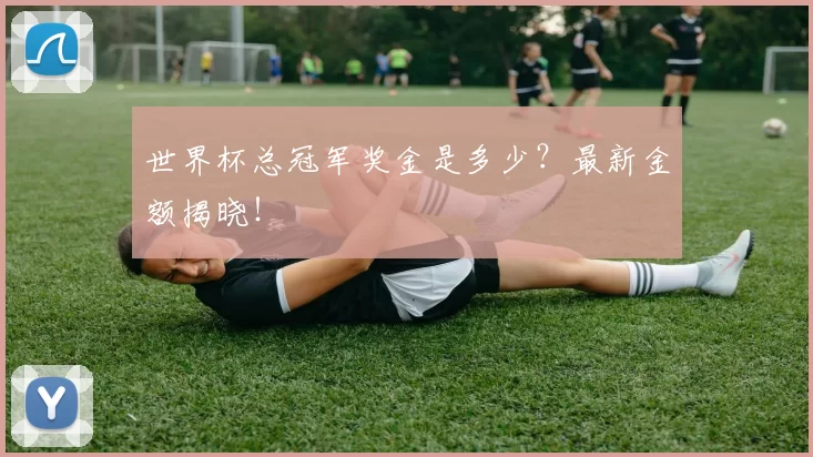 世界杯总冠军奖金是多少？最新金额揭晓！