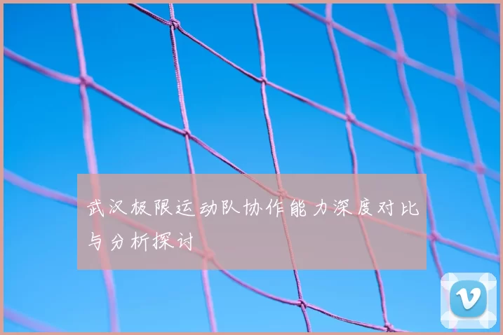 武汉极限运动队协作能力深度对比与分析探讨