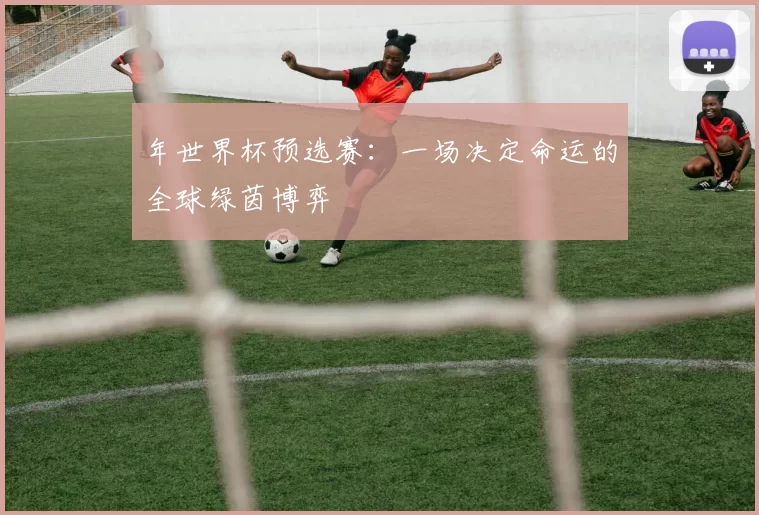 年世界杯预选赛：一场决定命运的全球绿茵博弈