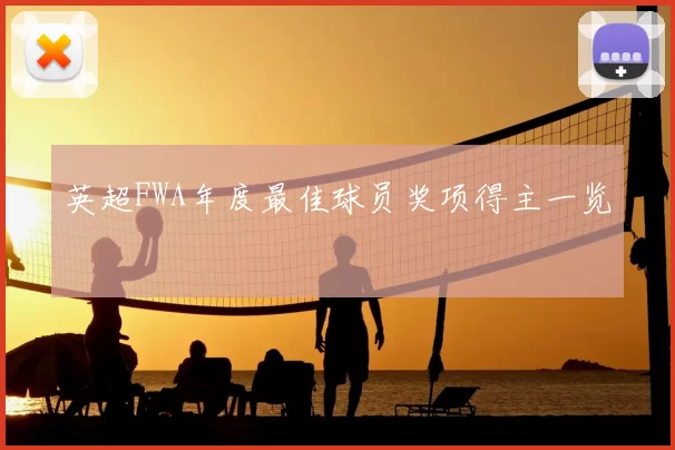 英超FWA年度最佳球员奖项得主一览