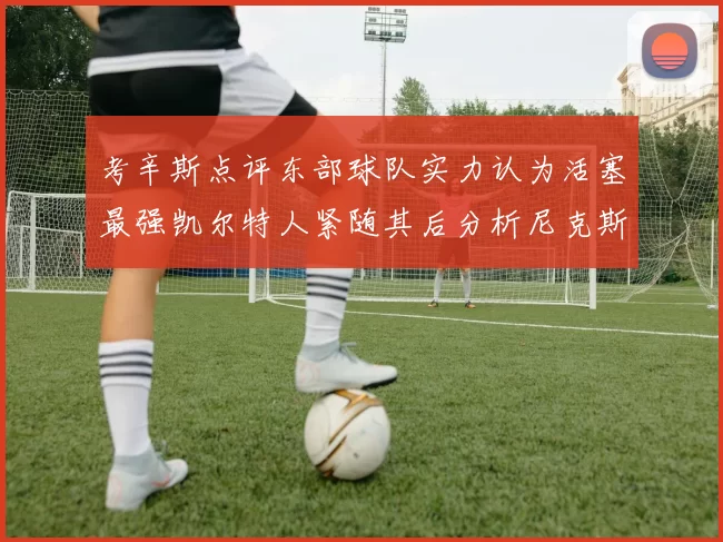 考辛斯点评东部球队实力认为活塞最强凯尔特人紧随其后分析尼克斯不足之处