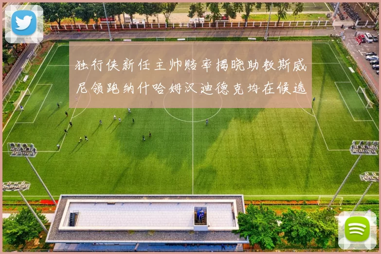 独行侠新任主帅赔率揭晓助教斯威尼领跑纳什哈姆汉迪德克均在候选之中