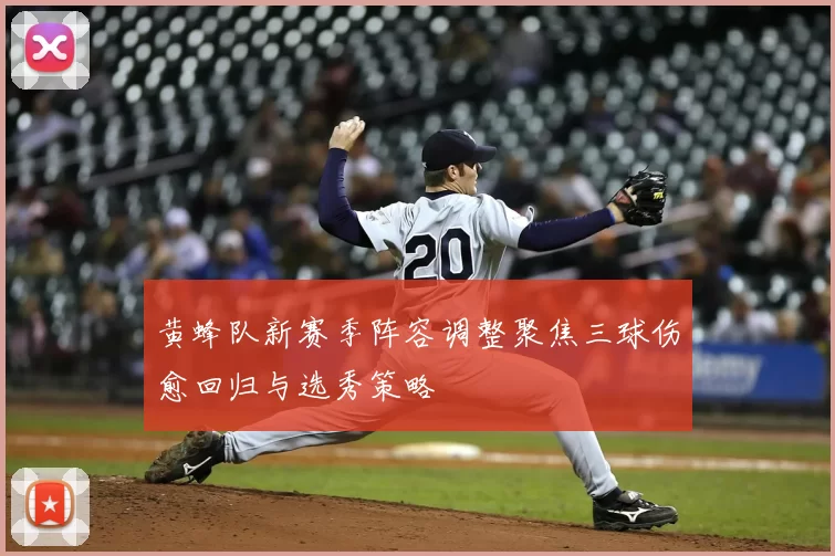 黄蜂队新赛季阵容调整聚焦三球伤愈回归与选秀策略