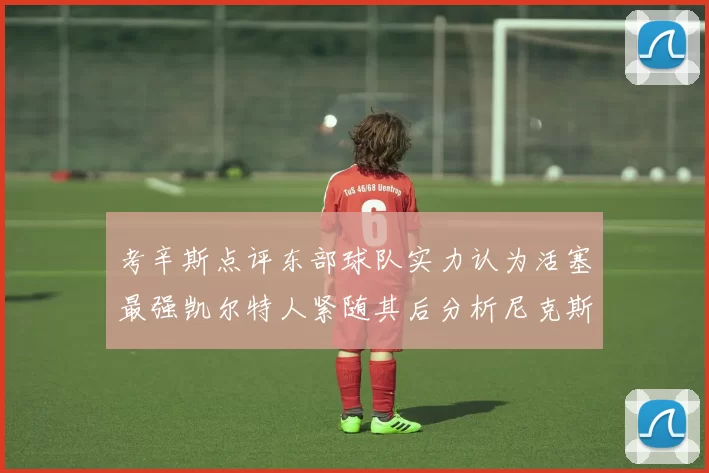 考辛斯点评东部球队实力认为活塞最强凯尔特人紧随其后分析尼克斯不足之处