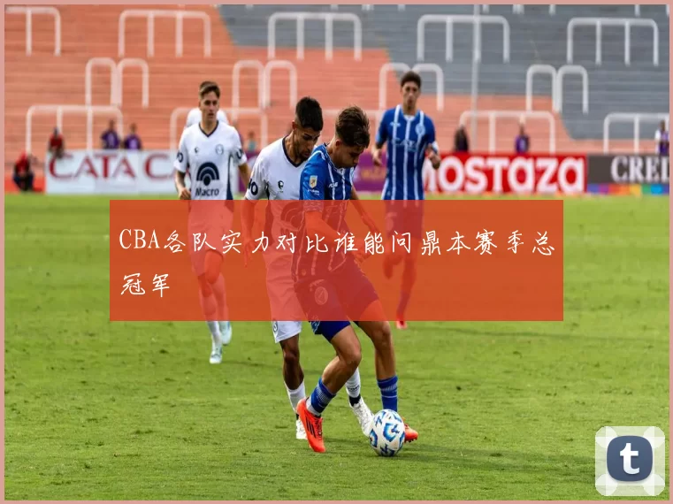 CBA各队实力对比谁能问鼎本赛季总冠军