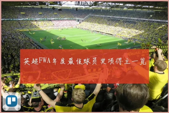 英超FWA年度最佳球员奖项得主一览