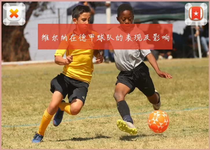 维尔纳在德甲球队的表现及影响