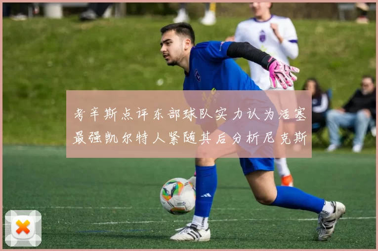 考辛斯点评东部球队实力认为活塞最强凯尔特人紧随其后分析尼克斯不足之处