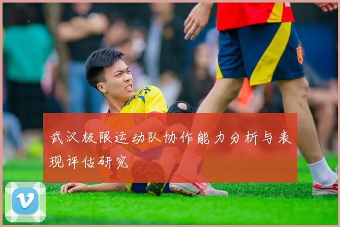 武汉极限运动队协作能力分析与表现评估研究
