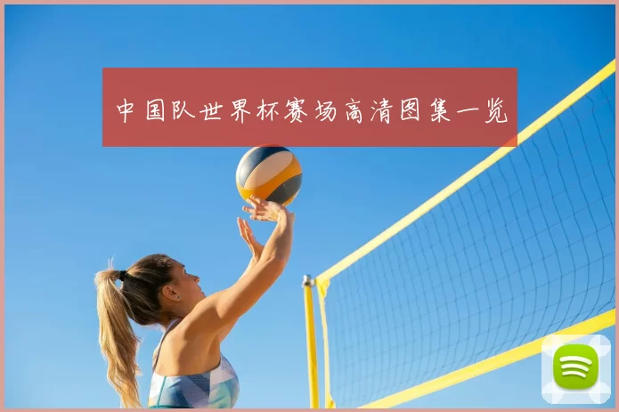 中国队世界杯赛场高清图集一览