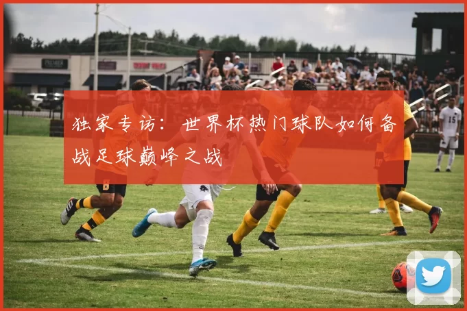 独家专访：世界杯热门球队如何备战足球巅峰之战