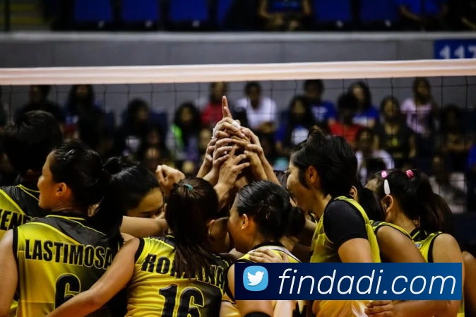 爱游戏官网服务体系